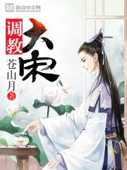 调教大宋八零电子书